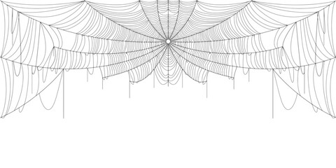 Spider web vector illustration	