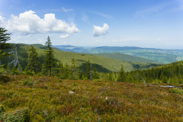 landscape with mountains and clouds green forest carpathians 