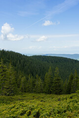 landscape with mountains and clouds green forest carpathians 