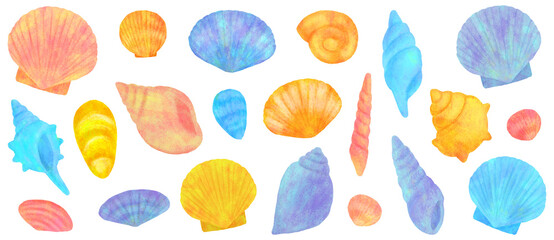 かわいい貝殻のイラストセット