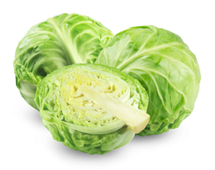 Fresh green cabbage isolated on transparent background.