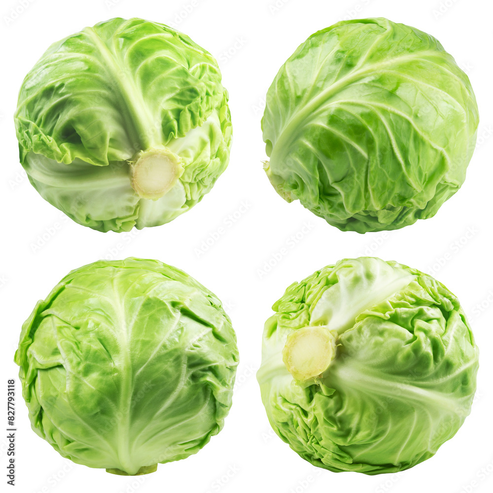 Wall mural cabbage collection isolated on a transparent background, from different angles.