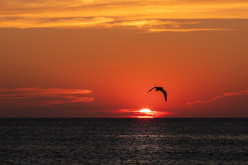 Sonnenuntergang &uuml;ber dem Meer / Kap Kamenjak / Kroatien
