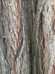 texture