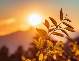 autumn leaves on sunset background