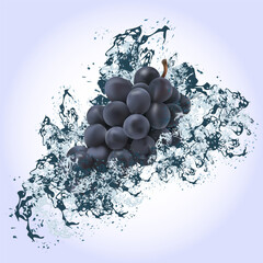 Grapes under splashes of water on a light background.