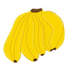 Natural exotic banana in yellow skin.