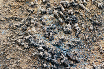 Natural texture of lichen on rock surface