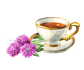 Herbal tea with fresh  Red pink field clover  flowers. Hand drawn watercolor illustration isolated on white background