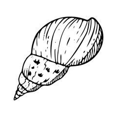 Spiral sea shell line vector illustration. Monochrome black and white freshwater snail mollusk for tropical ocean designs and nautical banners