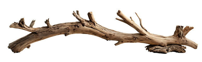 Fototapeta premium A weathered, gnarled tree branch with many small offshoots, suitable for nature-themed designs, rustic backgrounds, or to symbolize resilience and strength