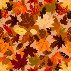Obraz premium warm autumn orange colors and fallen leaves patterns, 