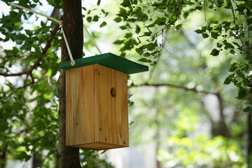 bird house on tree