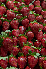 Fresh strawberries from the market