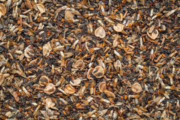 mix of drought tollerant wildflower seeds, macto background and texture