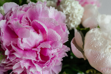 Beautiful pink flowers bouquet background. Blooming peony close-up with water drops, morning dew. Wedding backdrop, Valentine's Day concept. Blossom, flower. Macro shot