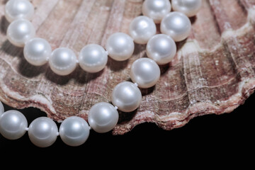 jewelry for a woman of white pearls beautifully arranged on a seashell