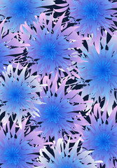 blue flower abstract pattern