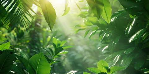 In the Heart of a Lush Forest: A Glimpse of Sunlight