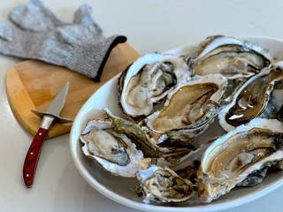 Fresh Shucked Pacific Oysters on a Plate with Ice. Shellfish Shucker, Glove and Wooden Table in the Background. Farmed Seafood. Sustainable Aquaculture. Made in USA. 