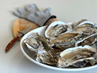 Fresh Shucked Pacific Oysters on a Plate with Ice. Shellfish Shucker, Glove and Wooden Table in the Background. Farmed Seafood. Sustainable Aquaculture. Made in USA. 