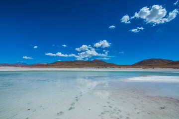 Landscape of Piedras Rojas and the Salar de Aguas Calientes at the Atacama Desert - Atacama, Chile