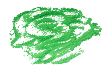 Abstract four-leaf clover of green glitter sparkle Isolated on A Transparent Background