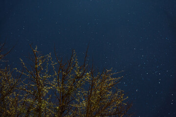 Fototapeta premium View of a starry sky at the Atacama Desert - Atacama, Chile