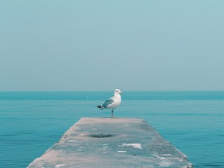 A serene seagull stands alone on a weathered pier extending into the calm, vast ocean under a clear blue sky, capturing the essence of solitude and tranquility, perfect for travel and nature themes.