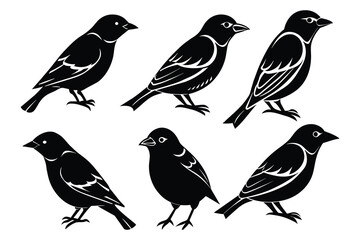 set of silhouettes of birds, solid white background
