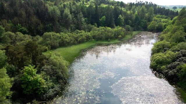 A drone shot of the reflection on the lake among the trees. Rossmore Park, Monaghan, Ireland