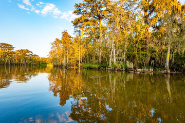 Sunset. Swamps of Louisiana
