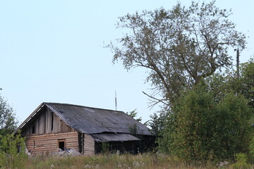 Obraz premium uninhabited abandoned houses in old villages from the times of collective farms and collectivization in the Soviet Union. 1930-1940-1950 of the last century, surrounded by forests and fields
