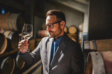 Adult man winemaker hold glass stand between the barrels in cellar