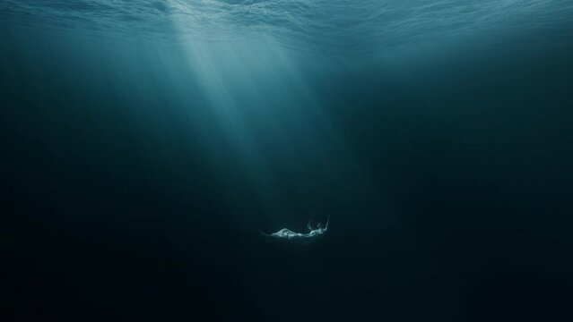 Silhouette Of Depressed Woman Sinking Into Underwater Grave Dark Deep Magic Ocean Sadness Loneliness Unhappy Sorrow Melancholy Misery Psychological Disorders Bipolar Disorder Mental Illnes Disease 4K