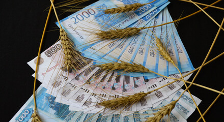 ears of wheat of black color on a fan of Russian rubles on a black background. selling or buying...