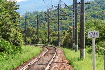 The railway runs through a beautiful forest. Train ride.