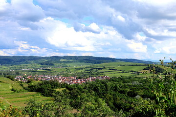 Obraz premium Sasbach am Kaiserstuhl im Frühling