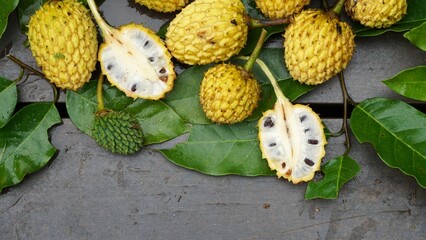  Araticum do Mato, planta típica de matas secundárias iniciais, fruto semente e folhas