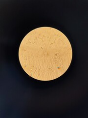 Live preparation of yeast under a light immersion microscope