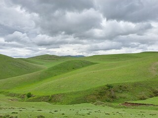 Fototapeta premium green hill and sky