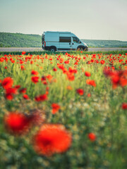 portrait view to white van on road behind field with red poppies in sunset time