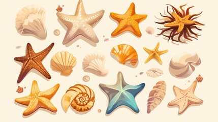 Sea star icon set against a white backdrop