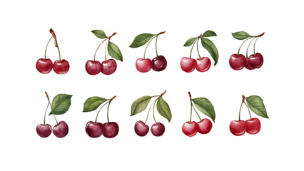 Branch with Cherries and Leaves Isolated on Transparent Background | Vibrant Cherry Fruit Vector Clipart