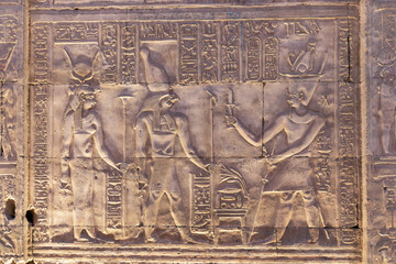 Wall Reliefs at the Temple of KOM Ombo at Aswan Egypt.