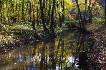 A small river flowing through a bed in an autumn leafy forest. An old arched bridge is built across the river.