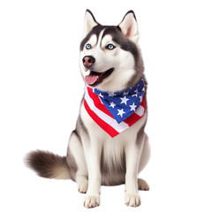 American Flag Siberian Husky, transparent - 2