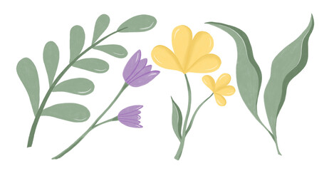 Flowers drawn with colored pencils for prints and postcards