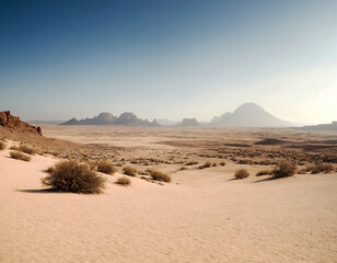 Desolate sun-soaked desert land.