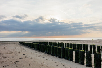 Mossy Breakwaters Along the South Holland Coastline
